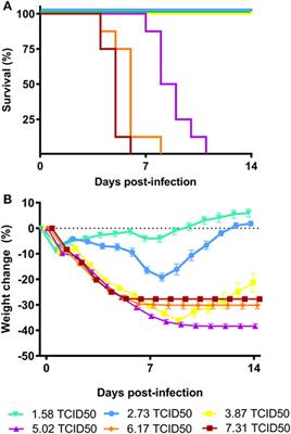 Bacillus Calmette–Guérin-Induced Trained Immunity Is Not Protective for Experimental Influenza A/Anhui/1/2013 (H7N9) Infection in Mice